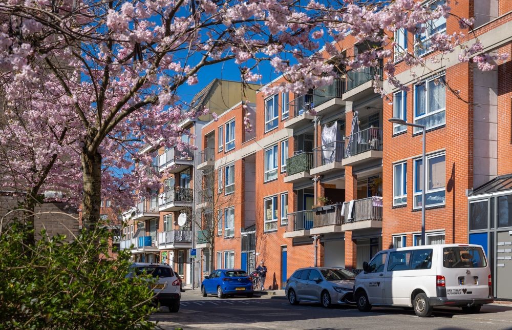 Kozijnvervanging 458 woningen Riederzuid Rotterdam